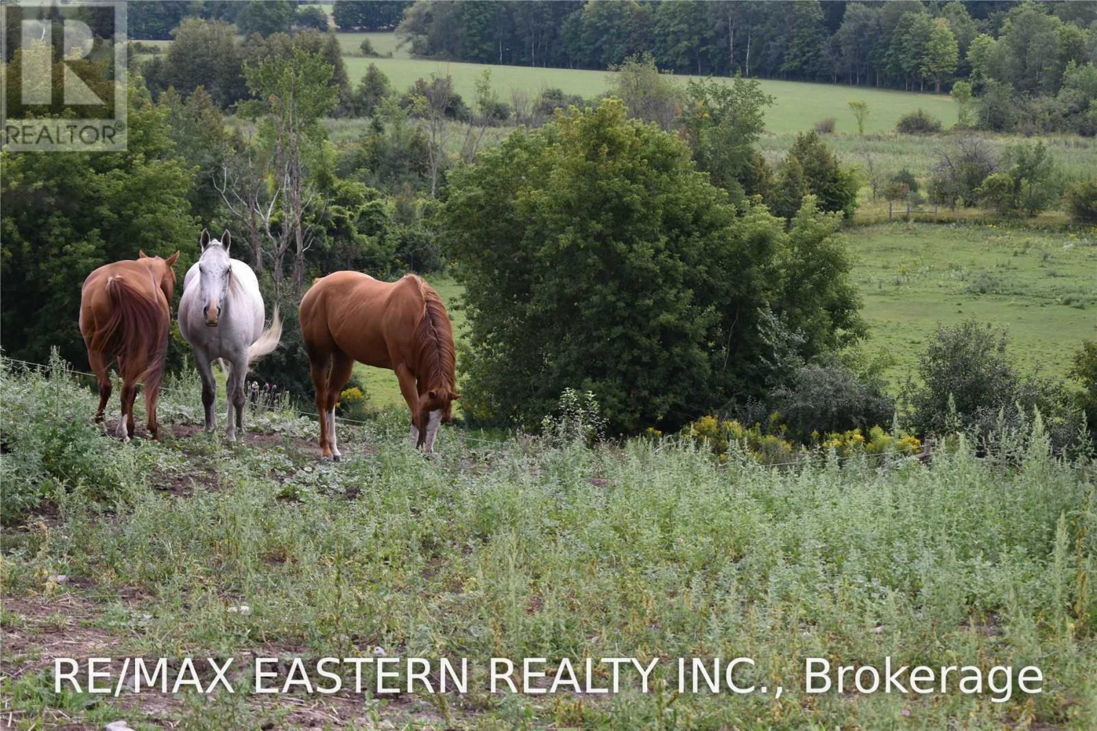 583 Second Line, Douro-Dummer, Ontario K0L 2B0 - Photo 13 - X13666028