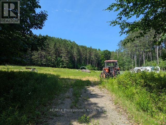 2481 North Shore Road, Algonquin Highlands (Stanhope), Ontario  K0M 1S0 - Photo 46 - X12995318