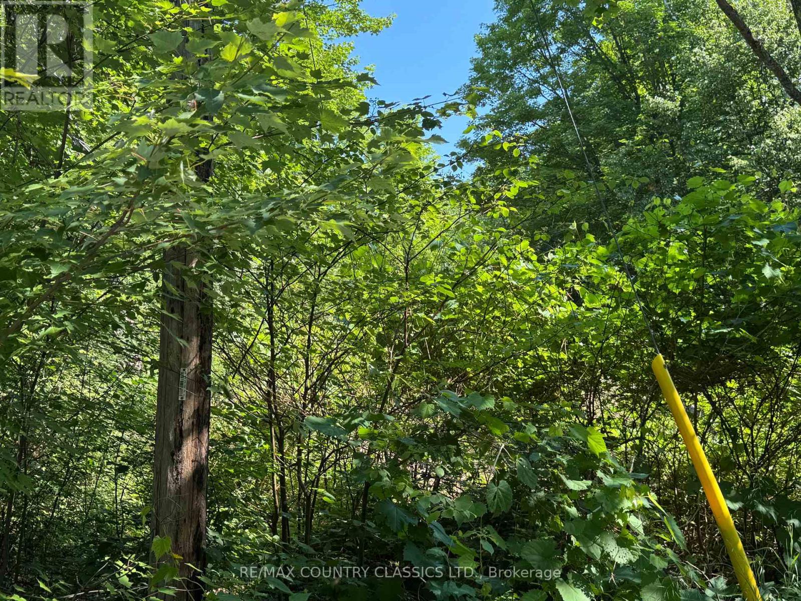 1703 Boulter Road, Carlow/mayo, Ontario  K0L 2R0 - Photo 21 - X13666084