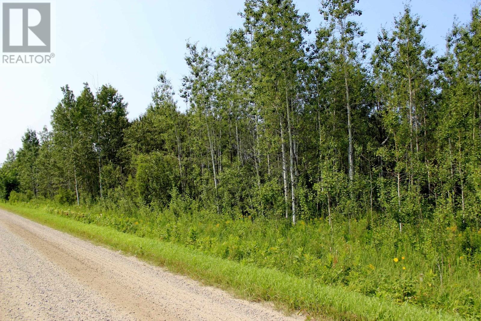 Sec 19 Wilson Creek Rd, Rainy River, Ontario  P0W 1L0 - Photo 10 - TB2602335