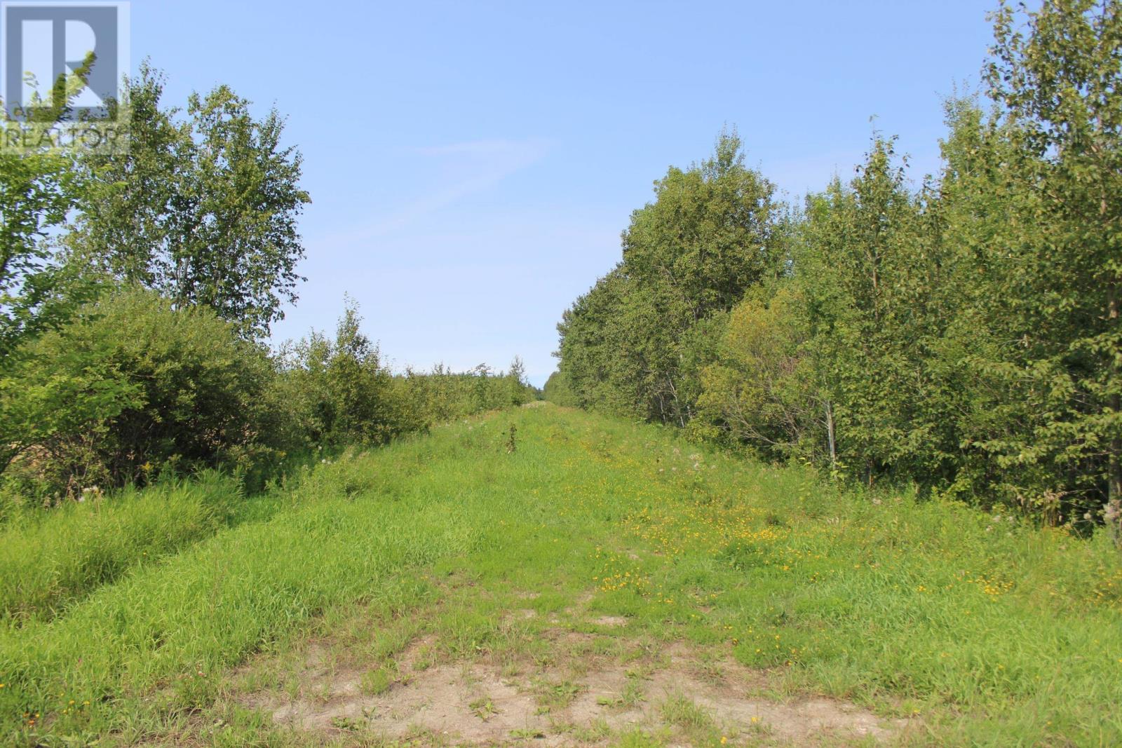 Sec 19 Wilson Creek Rd, Rainy River, Ontario  P0W 1L0 - Photo 14 - TB2602335