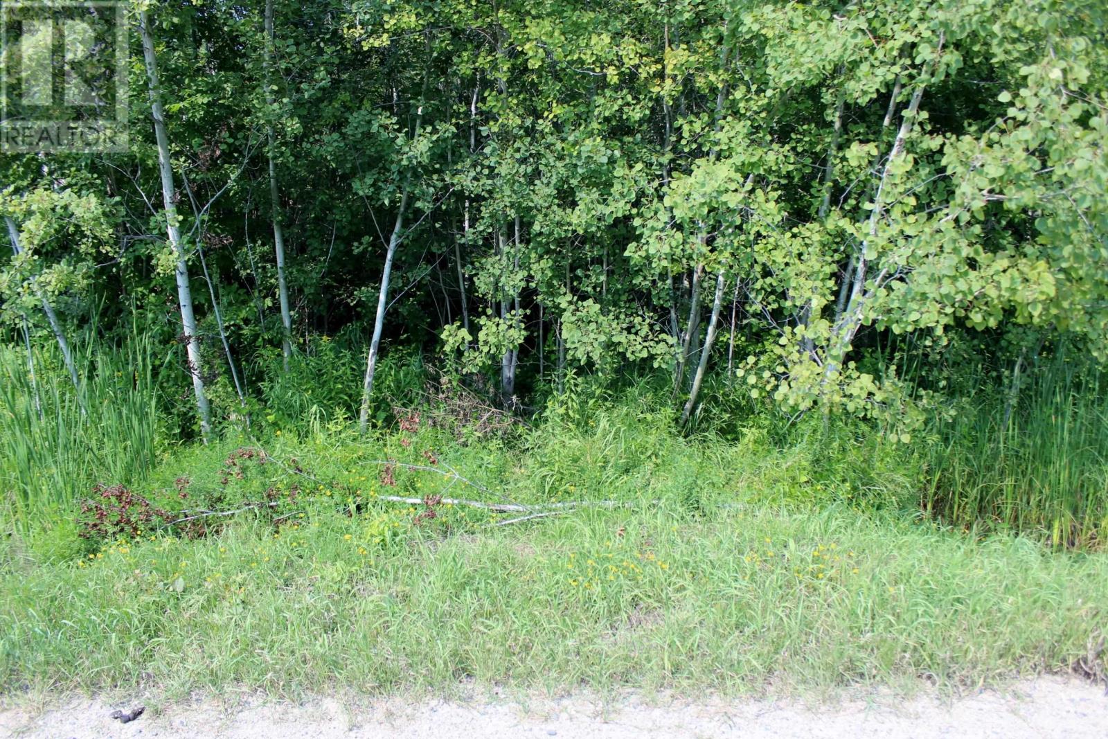 Sec 19 Wilson Creek Rd, Rainy River, Ontario  P0W 1L0 - Photo 15 - TB2602335