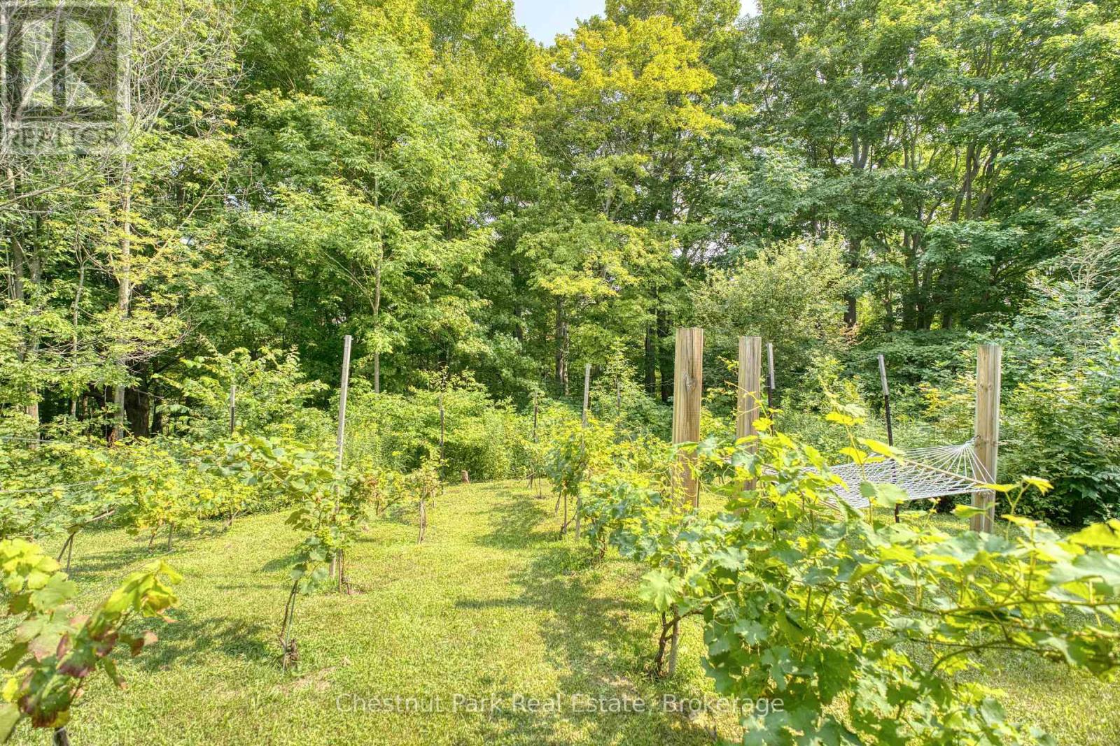 76 Everett Road, South Bruce Peninsula, Ontario  N0H 2T0 - Photo 34 - X13666118