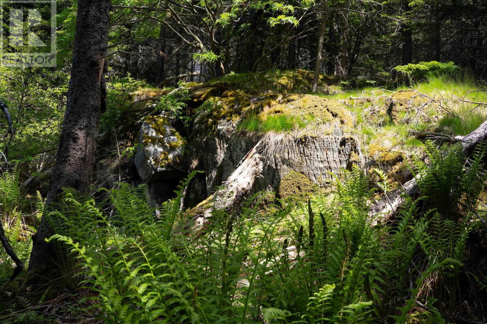 Lot 60171535 Herring Rock Road, Blue Rocks, Nova Scotia  B0J 2C0 - Photo 15 - 202614983