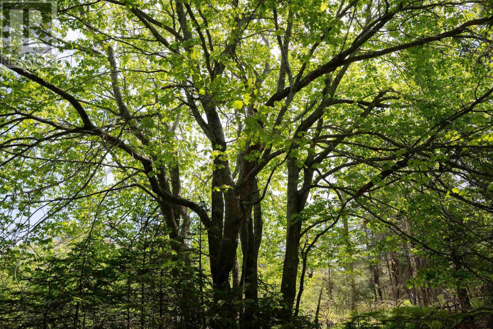 Lot 60171535 Herring Rock Road, Blue Rocks, Nova Scotia  B0J 2C0 - Photo 11 - 202614983