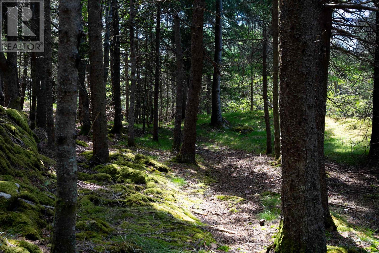 Lot 60171535 Herring Rock Road, Blue Rocks, Nova Scotia  B0J 2C0 - Photo 16 - 202614983