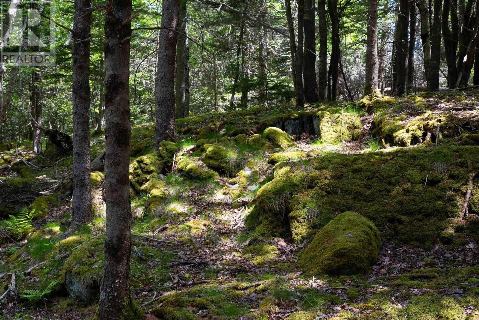 Lot 60171535 Herring Rock Road, Blue Rocks, Nova Scotia  B0J 2C0 - Photo 13 - 202614983