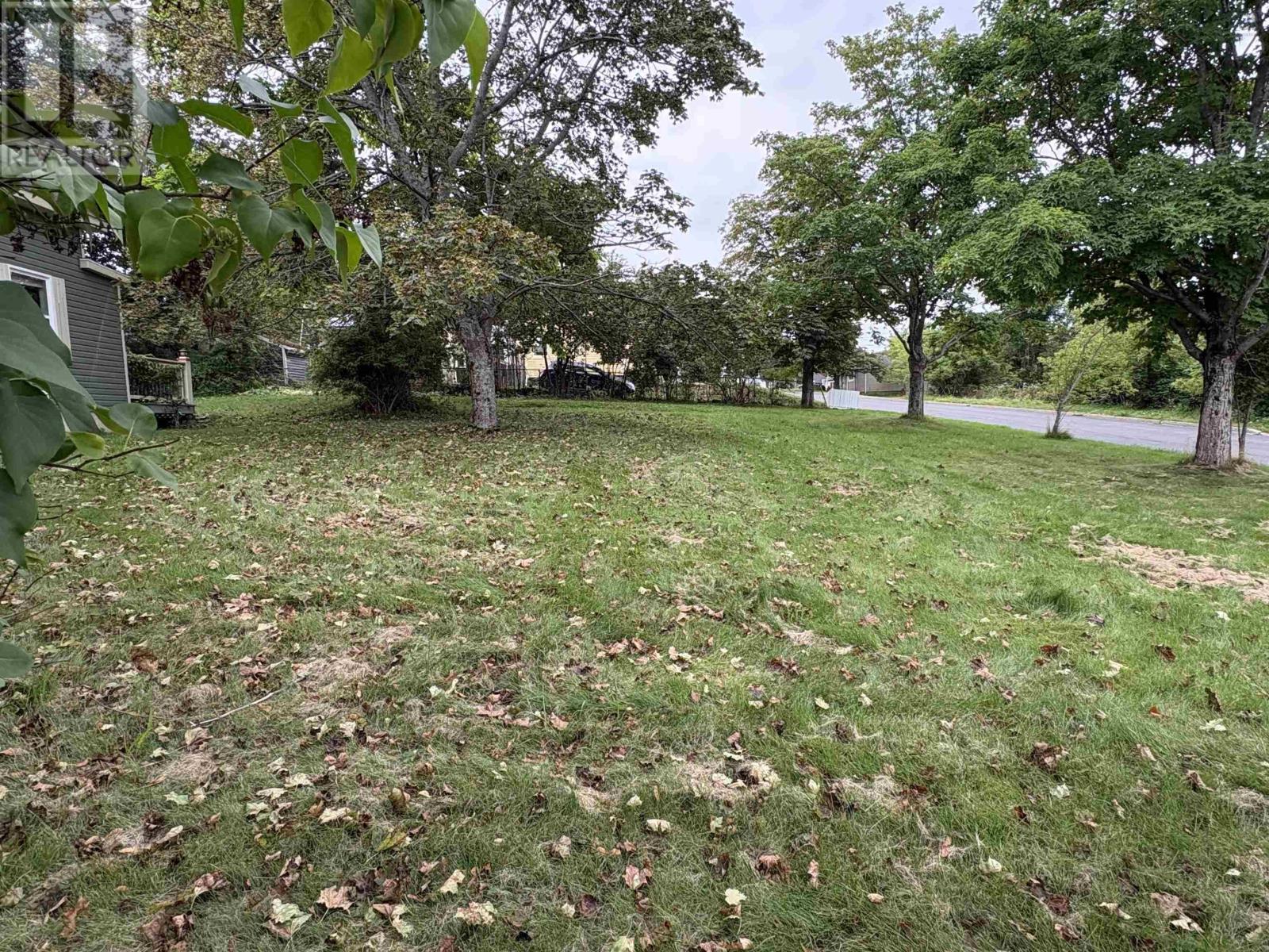 picture 27