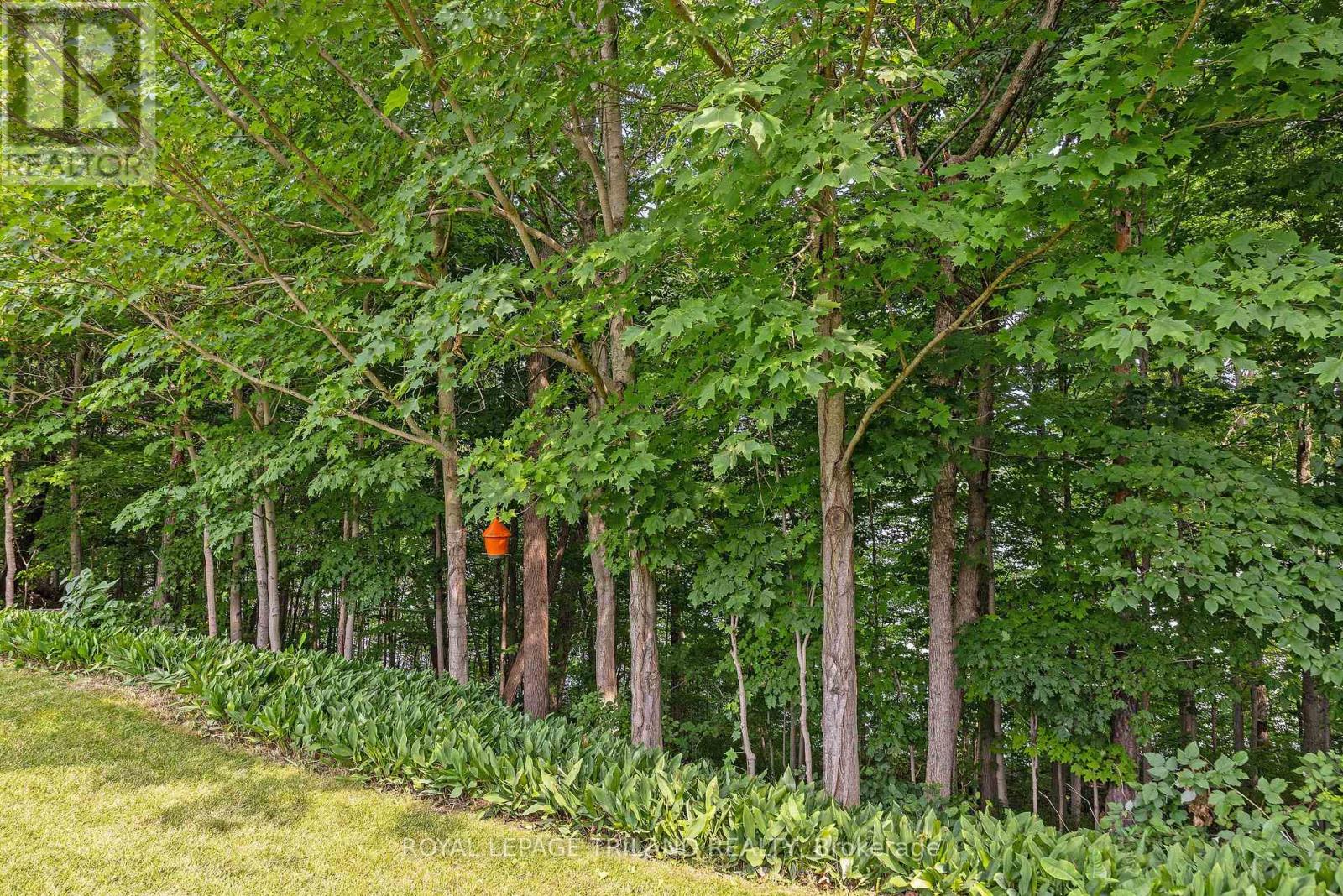 20 Woodhaven Court, St. Thomas, Ontario  N5P 3Z3 - Photo 46 - X13666504