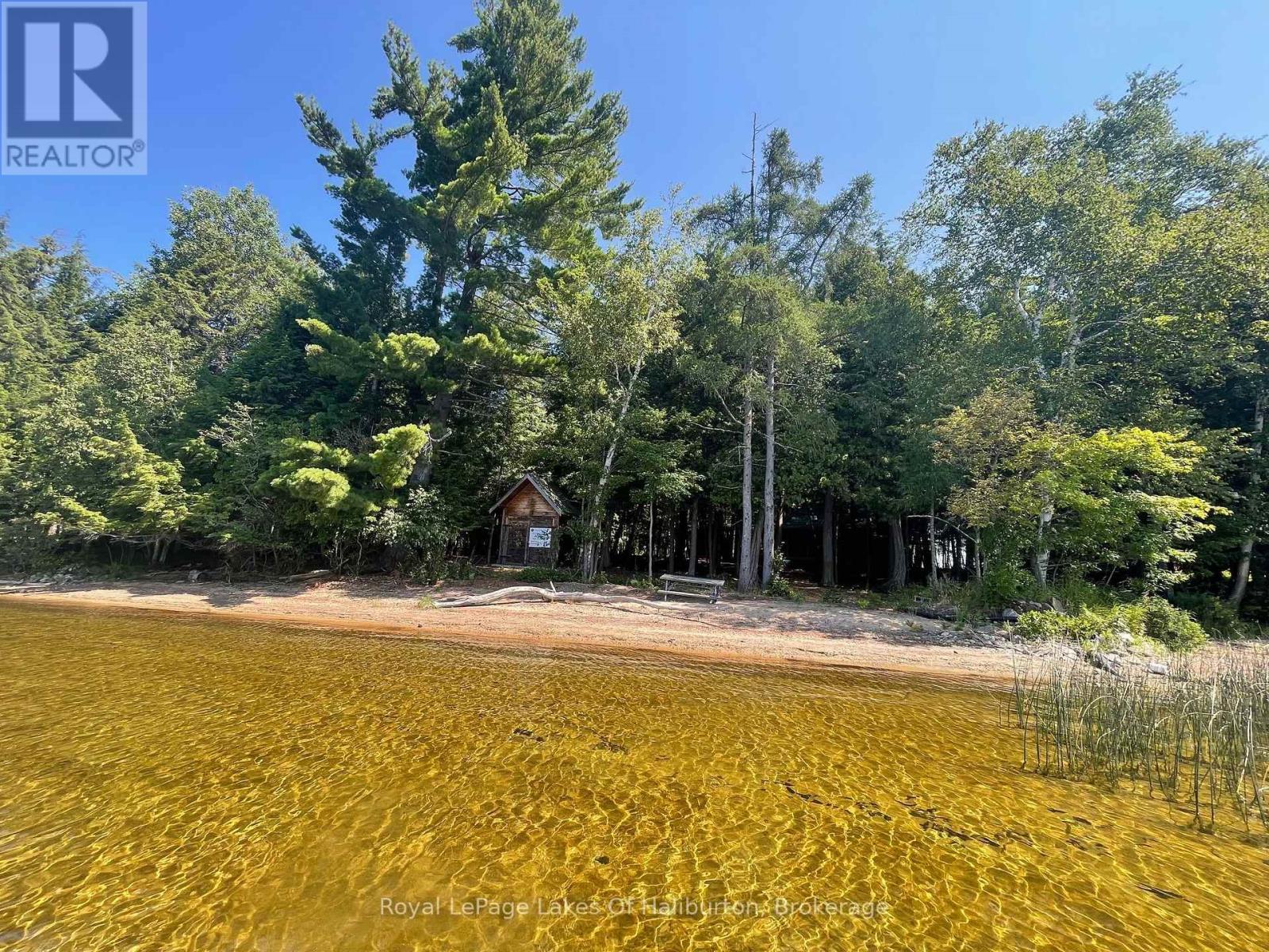 1046 Placid Lane, Algonquin Highlands (Stanhope), Ontario  K0M 1S0 - Photo 4 - X13666348