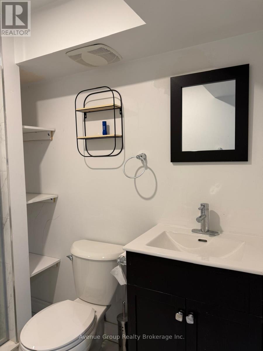 Basement - 193 Rouge River Drive, Toronto, Ontario M1B 6G7 - Photo 10 - E13666540