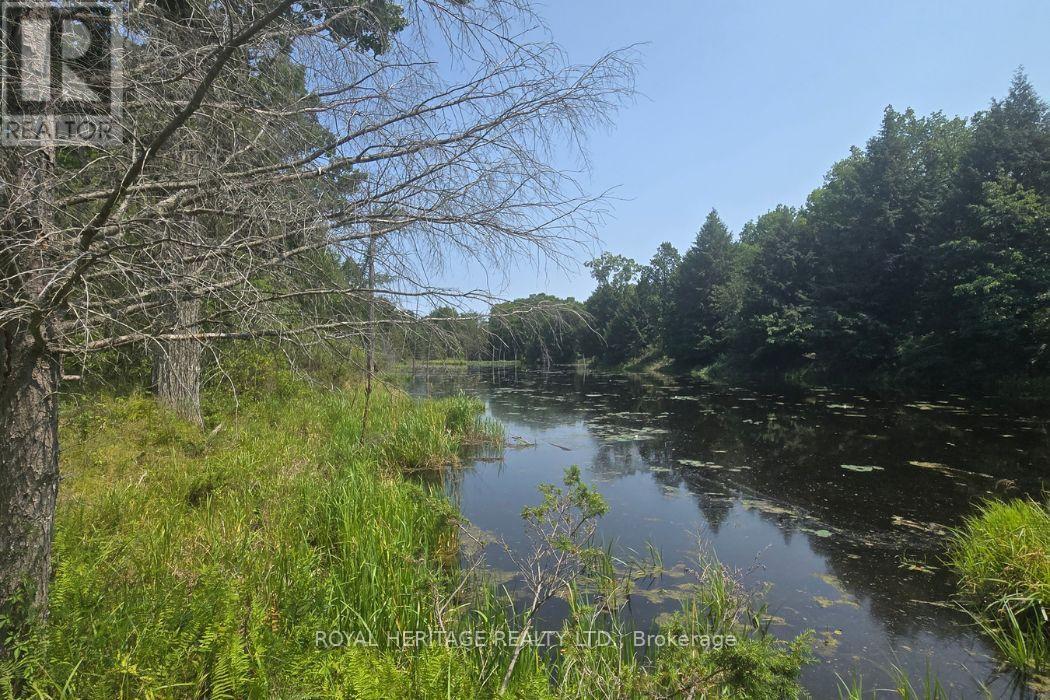 1590 Elm Tree Road, Central Frontenac, Ontario K0H 0B6 - Photo 12 - X13666390