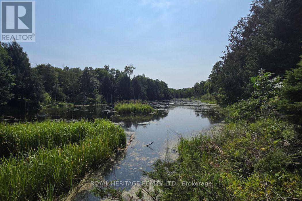 1590 Elm Tree Road, Central Frontenac, Ontario K0H 0B6 - Photo 13 - X13666390