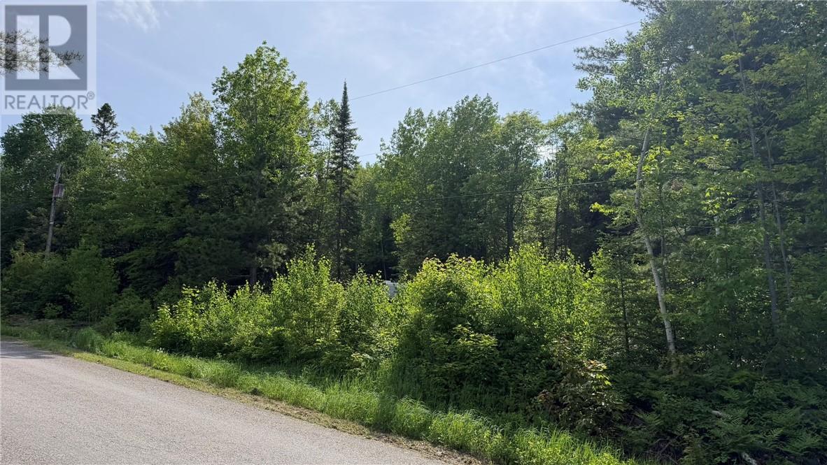 1206 West Bay Road, Garson, Ontario  P0M 1H0 - Photo 23 - 2128563