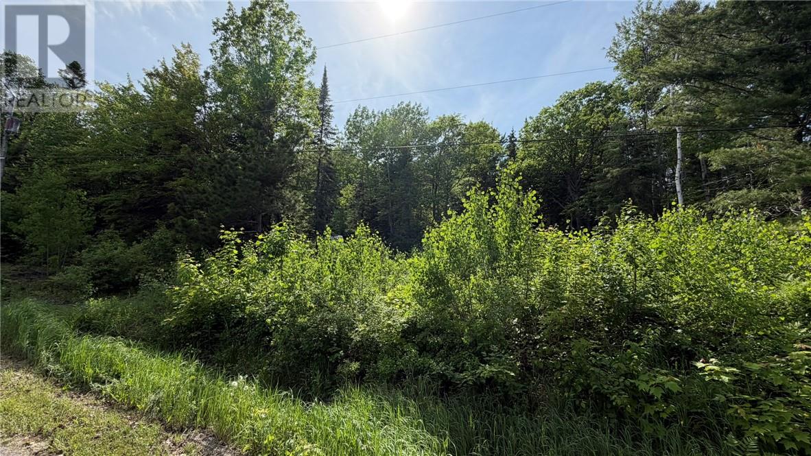 1206 West Bay Road, Garson, Ontario  P0M 1H0 - Photo 25 - 2128563