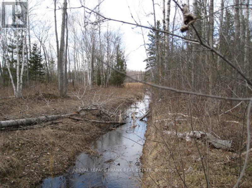 0 Mervin Line, Cavan Monaghan, Ontario  K9J 6Z9 - Photo 16 - X13666786