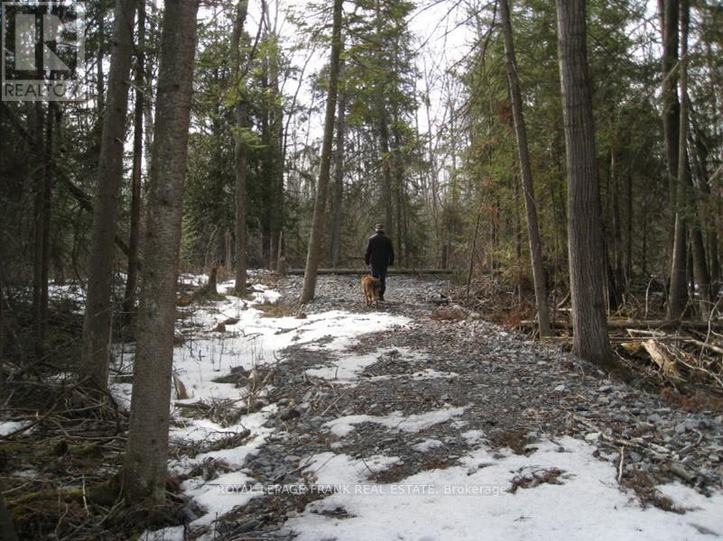 0 Mervin Line, Cavan Monaghan, Ontario  K9J 6Z9 - Photo 8 - X13666786