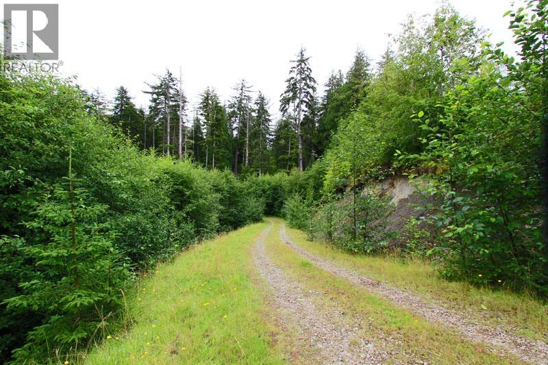 31757 16 Highway, Daajing Giids Rural, British Columbia  V0T 1Y0 - Photo 29 - R3118346