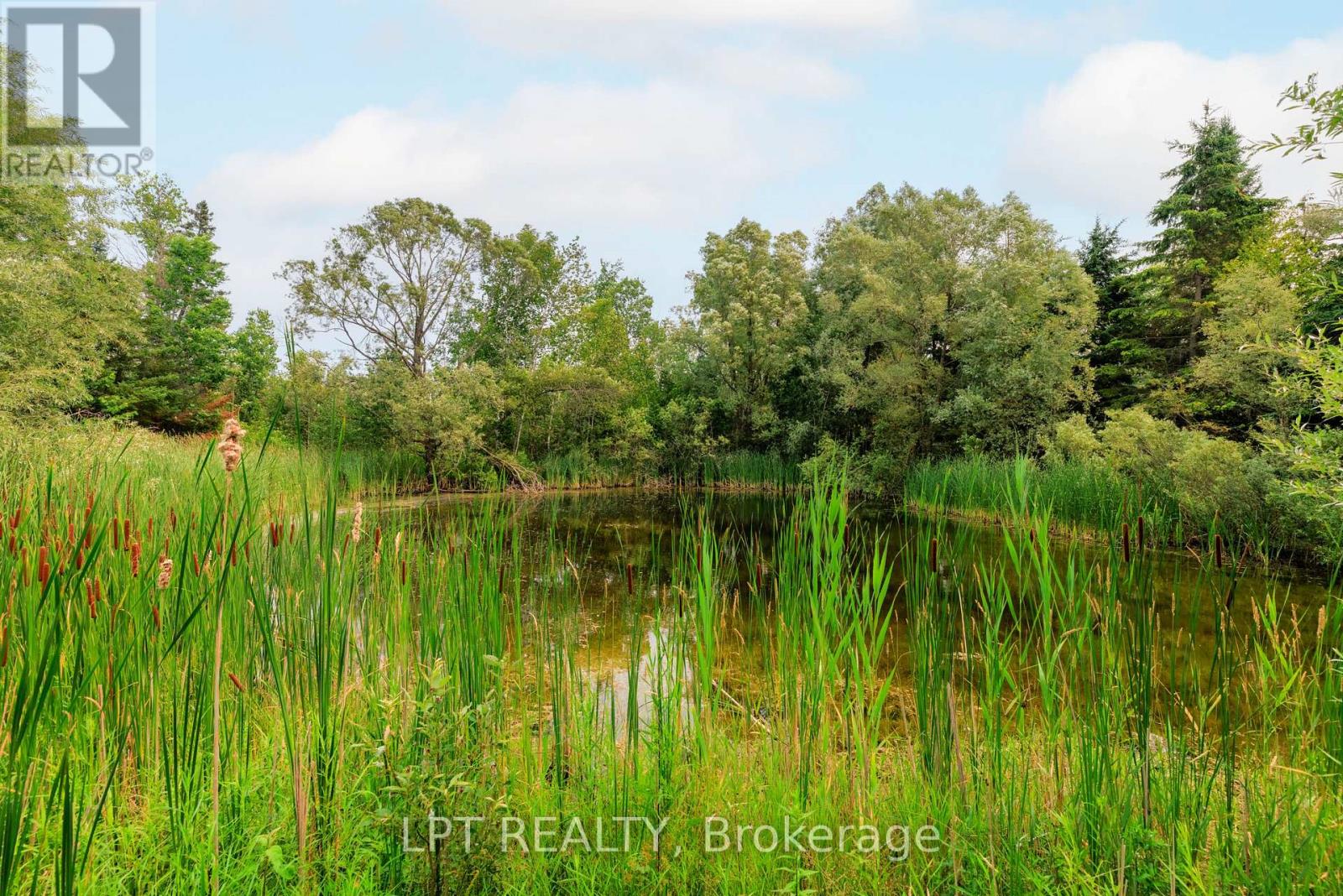 23983 Weirs Side Road, Georgina, Ontario  L0E 1N0 - Photo 9 - N13666986