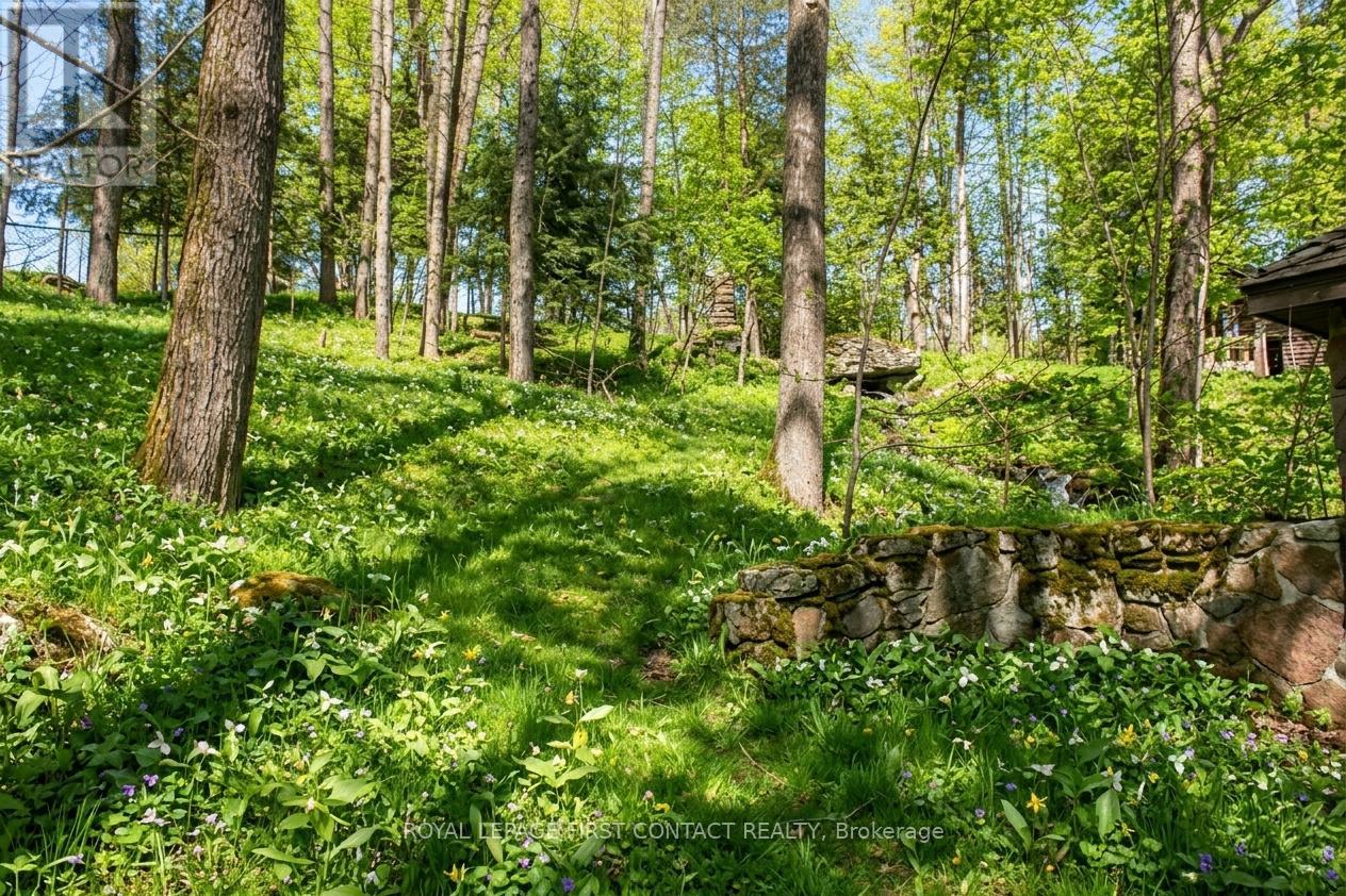 47 Riverside Drive, Dysart Et Al, Ontario  K0M 1S0 - Photo 2 - X13666904