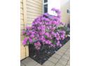 4147 4th Street, Vernon, BC V1H 1Z1