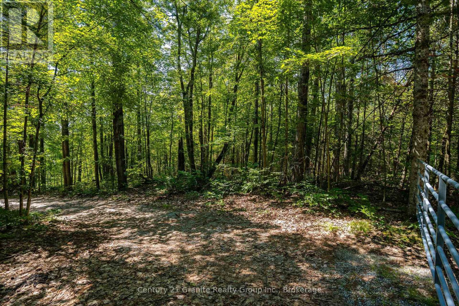 1037 Rotunda Drive, Highlands East (Glamorgan), Ontario  K0M 1R0 - Photo 10 - X13667100