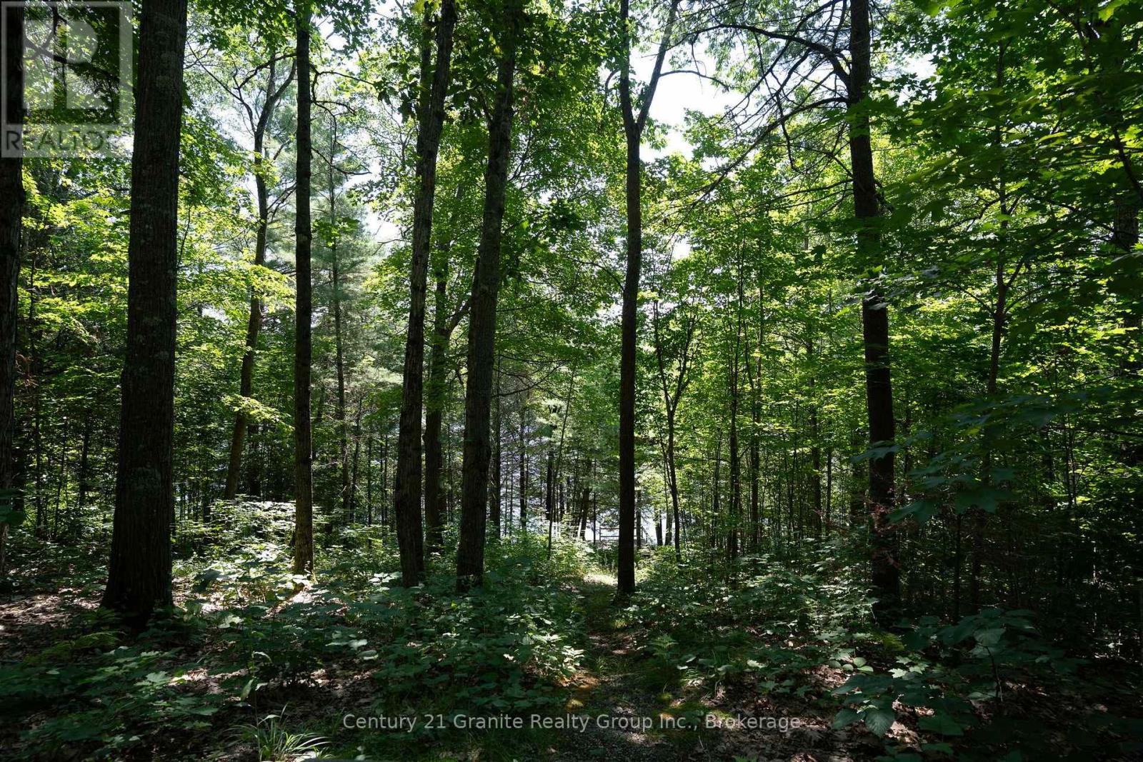 1037 Rotunda Drive, Highlands East (Glamorgan), Ontario  K0M 1R0 - Photo 11 - X13667100