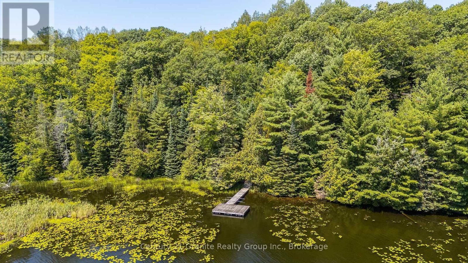 1037 Rotunda Drive, Highlands East (Glamorgan), Ontario  K0M 1R0 - Photo 24 - X13667100