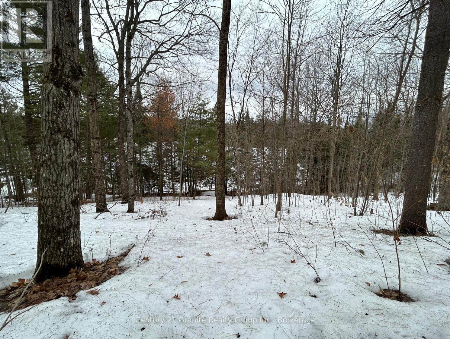 1037 Rotunda Drive, Highlands East (Glamorgan), Ontario  K0M 1R0 - Photo 28 - X13667100