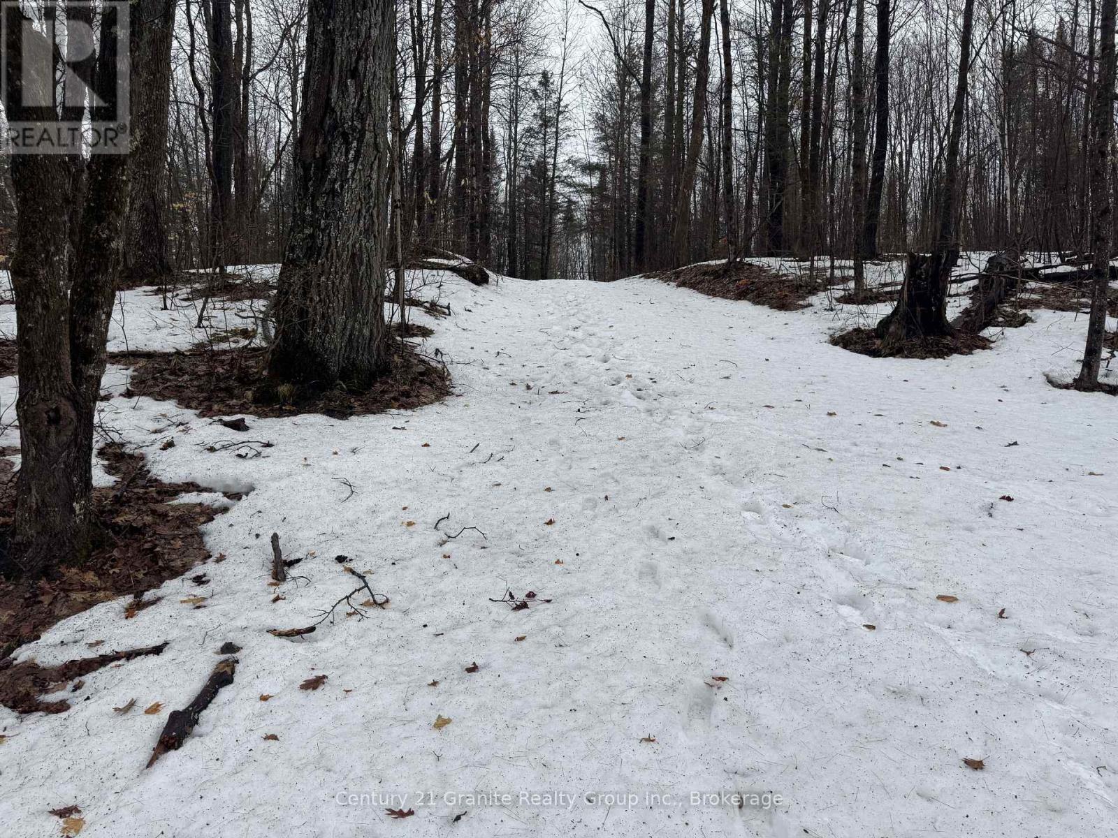 1037 Rotunda Drive, Highlands East (Glamorgan), Ontario  K0M 1R0 - Photo 29 - X13667100