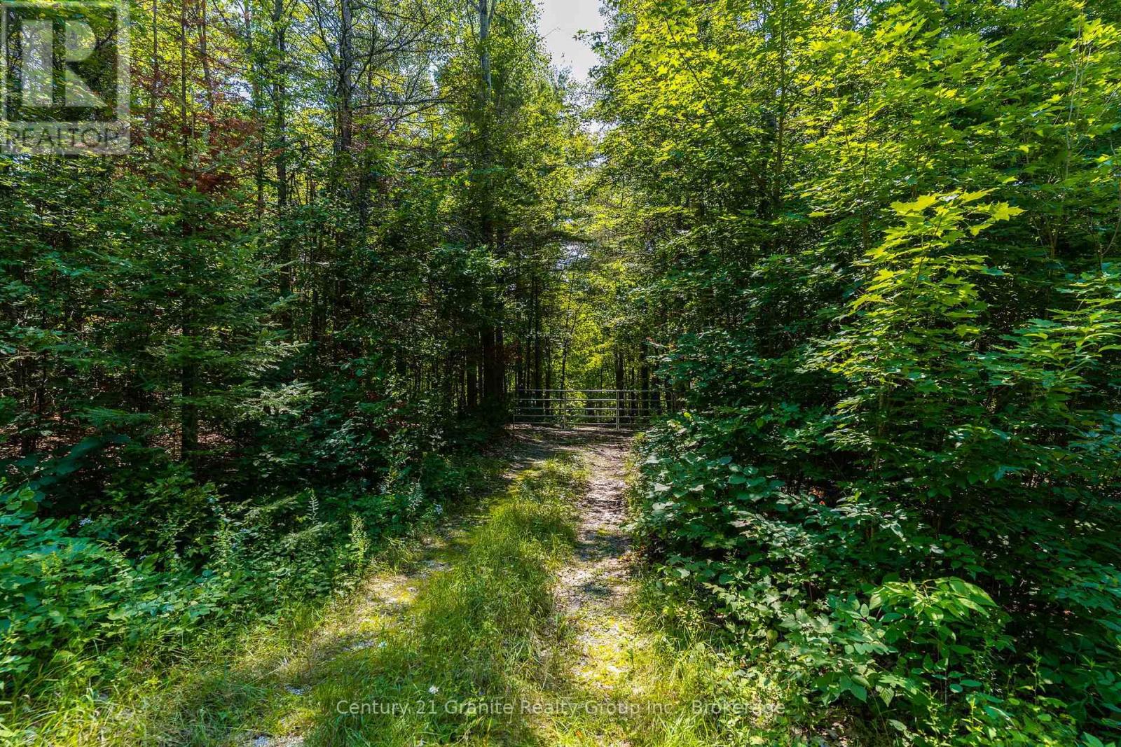 1037 Rotunda Drive, Highlands East (Glamorgan), Ontario  K0M 1R0 - Photo 9 - X13667100