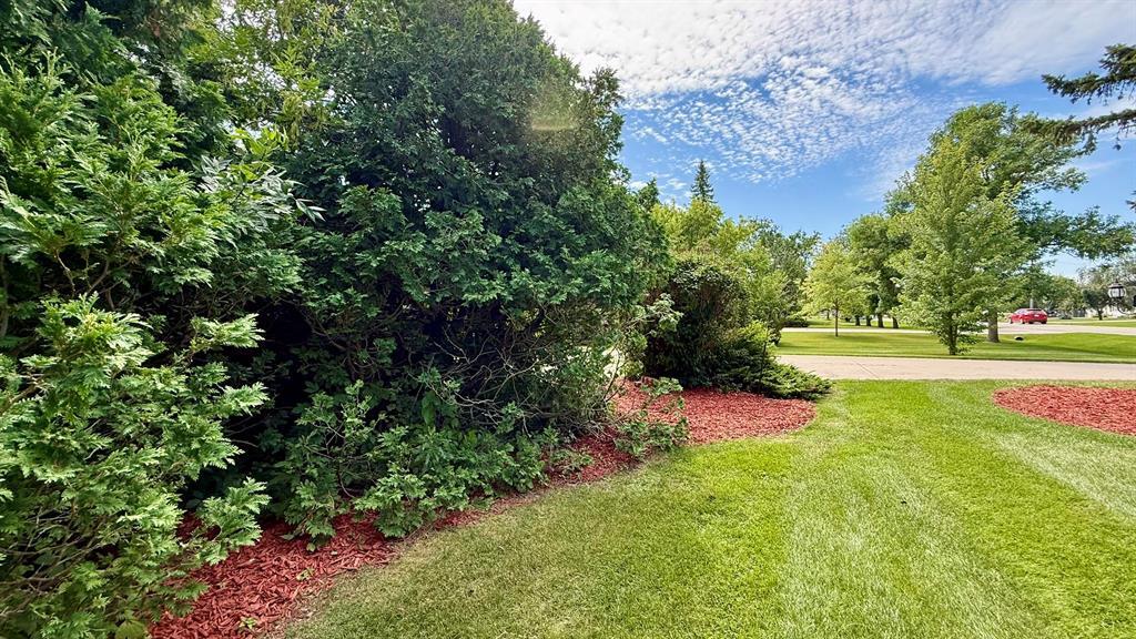 21 Birch Drive, Rosenort, Manitoba  R0G 1W0 - Photo 33 - 202619881