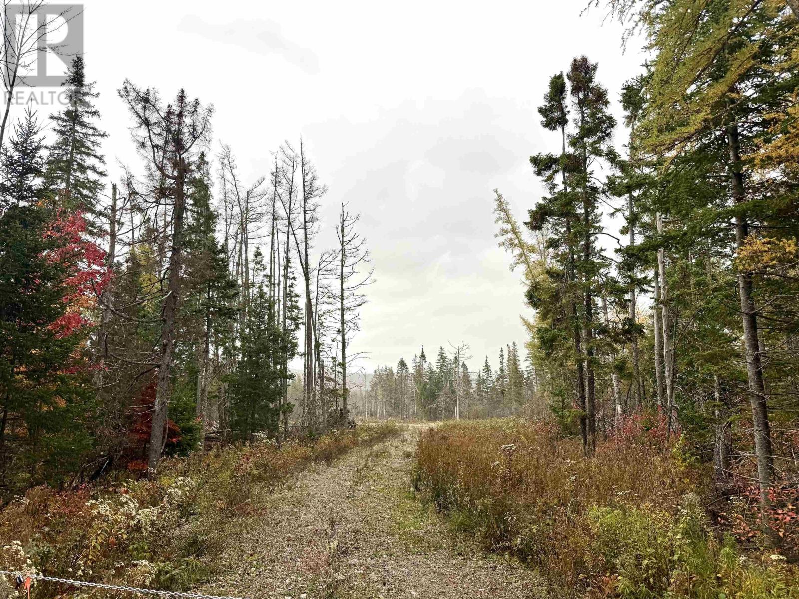 Barren Road, River Denys, Nova Scotia  B0E 2Y0 - Photo 10 - 202526611