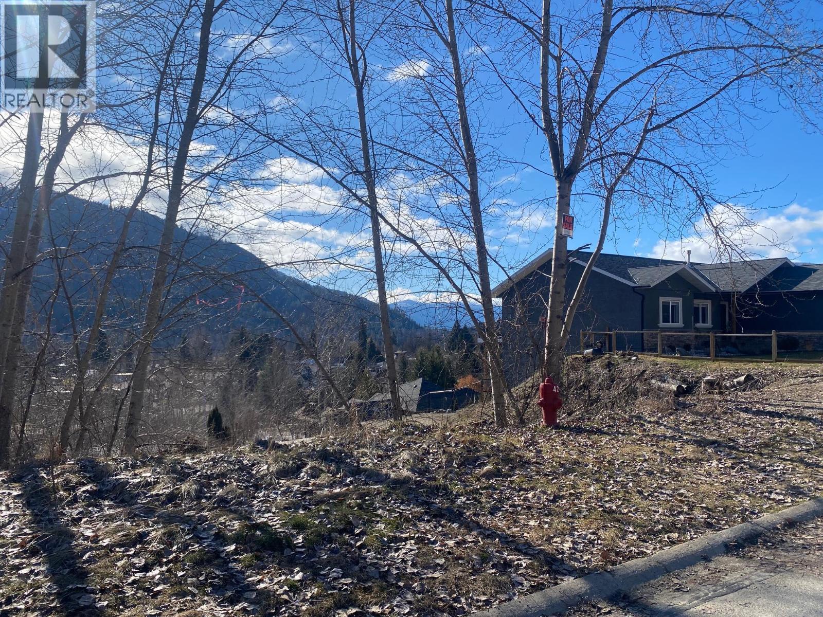933 7th Street, Montrose, British Columbia  V0G 1P0 - Photo 7 - 10370435