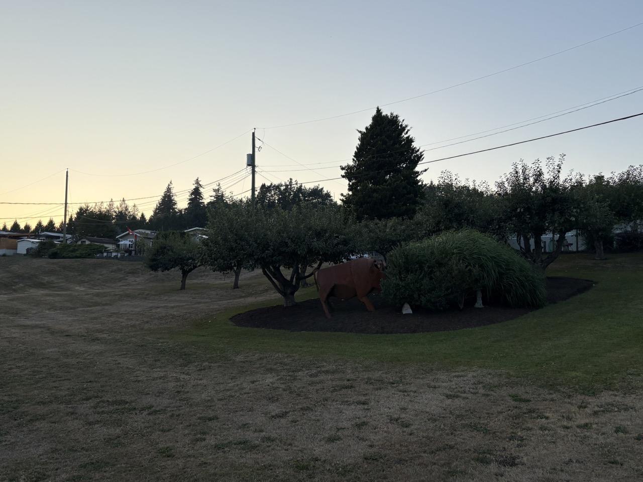 13 27111 0 Avenue, Langley, British Columbia  V4W 2S9 - Photo 39 - R3154601