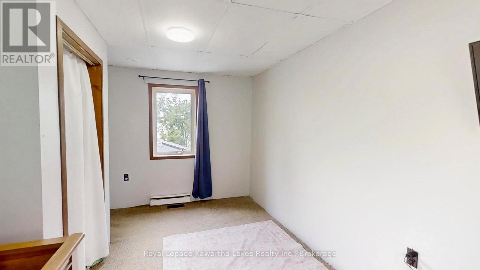 67 Hazel Street, Kawartha Lakes, Ontario  K0M 1L0 - Photo 26 - X13667530