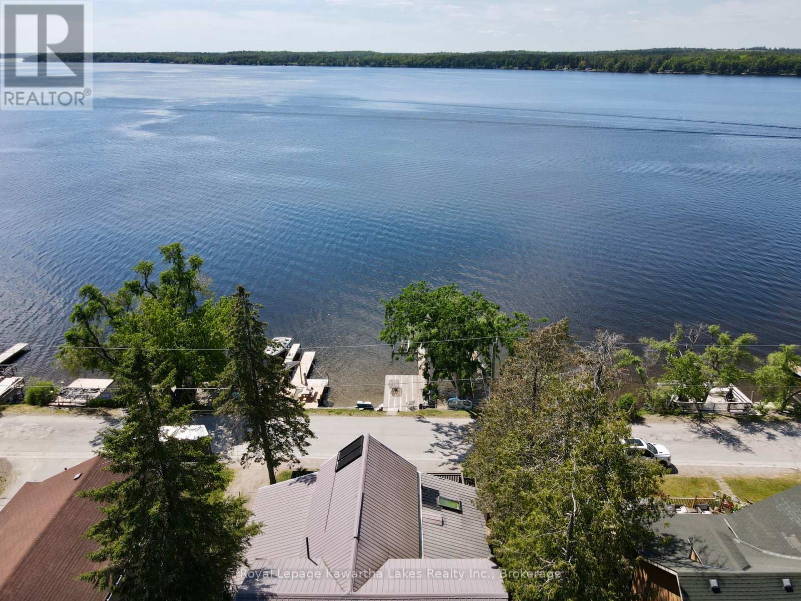 67 Hazel Street, Kawartha Lakes, Ontario  K0M 1L0 - Photo 41 - X13667530