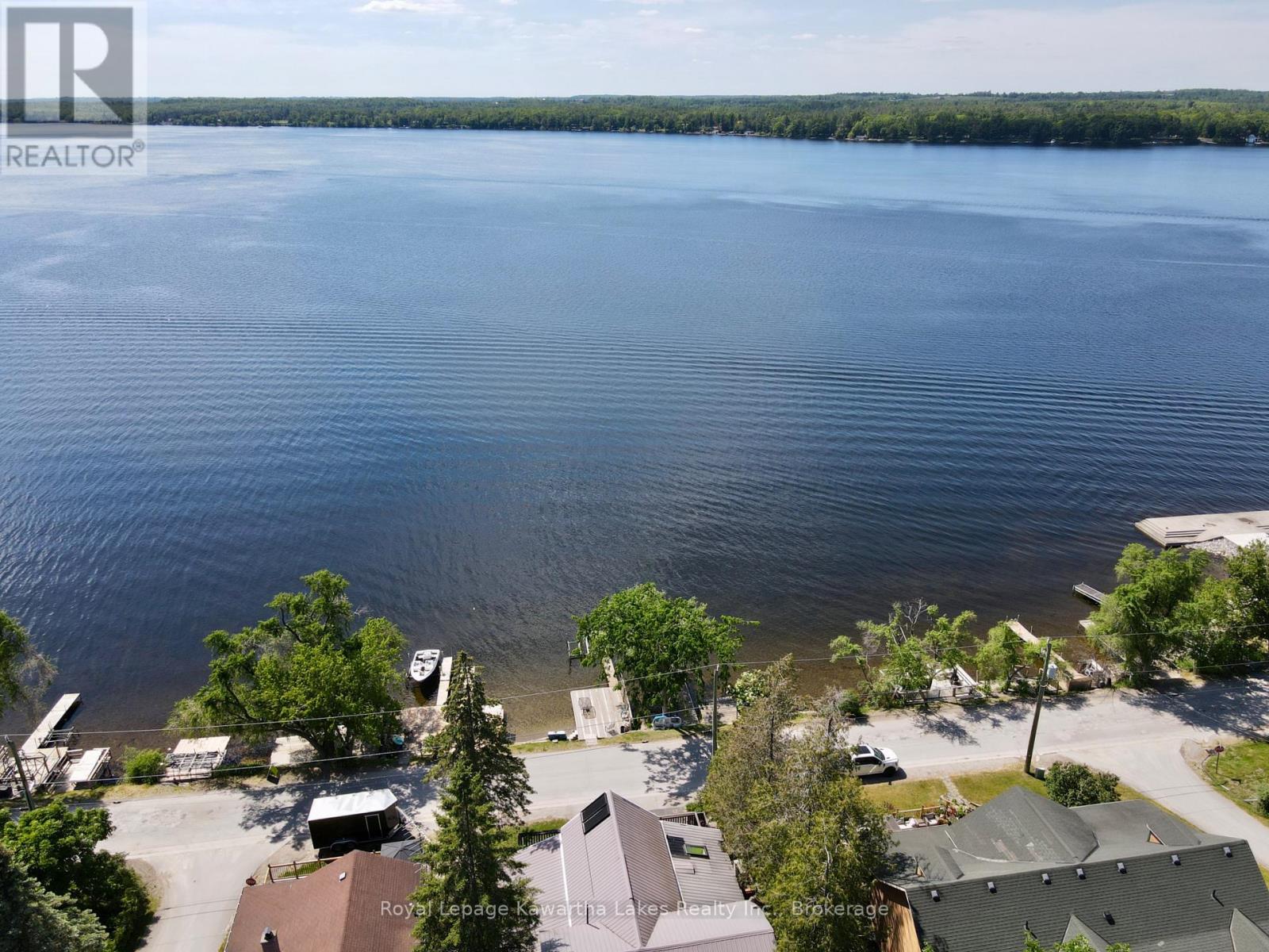 67 Hazel Street, Kawartha Lakes, Ontario  K0M 1L0 - Photo 47 - X13667530