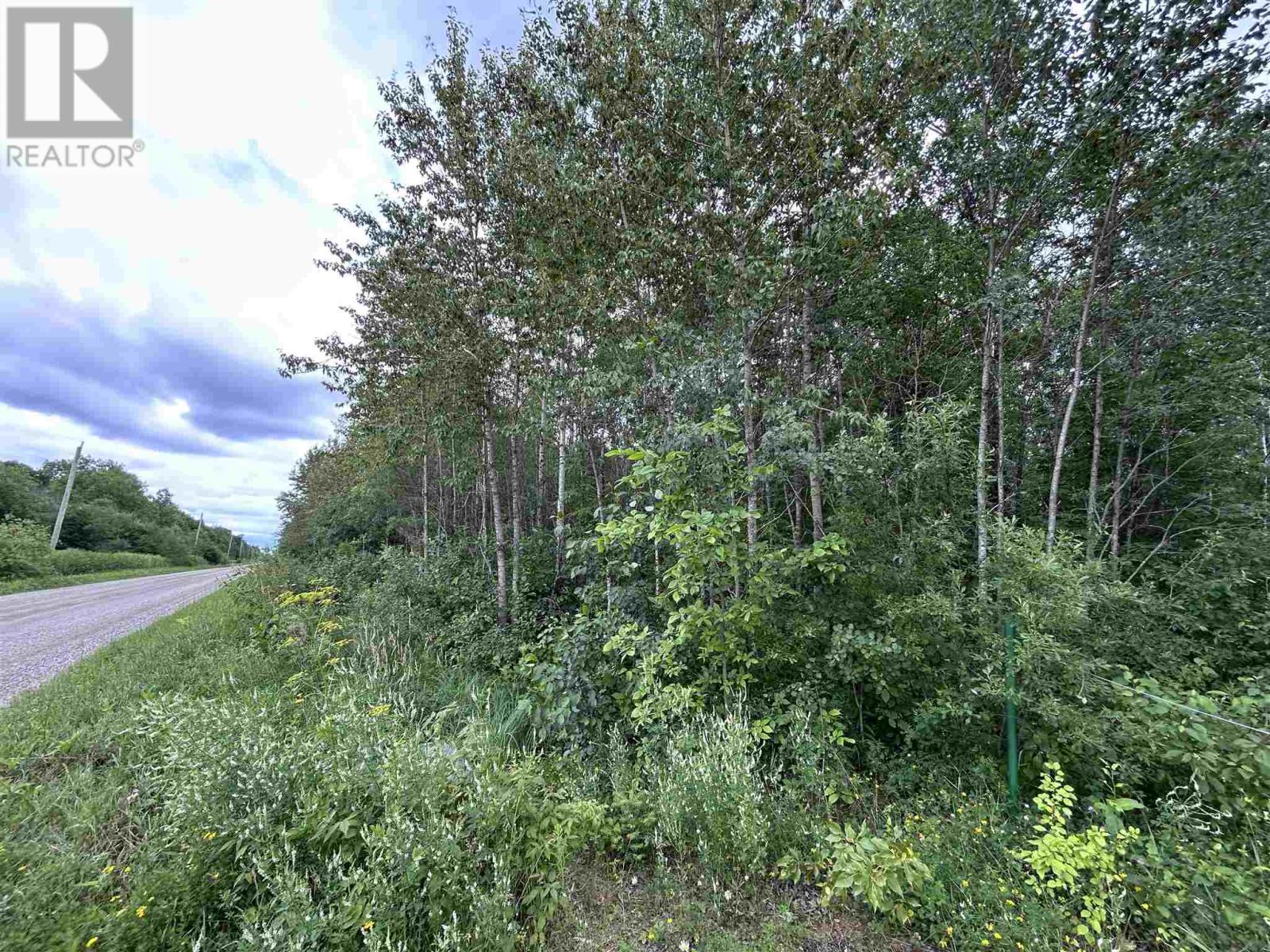 905 Frog Creek Rd, Alberton, Ontario  P9A 3M2 - Photo 3 - TB2602313
