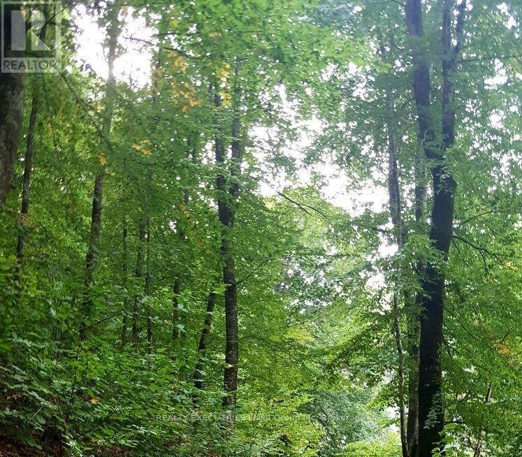 Bonfield Vacant Land for sale:    (Listed 2026-08-12)