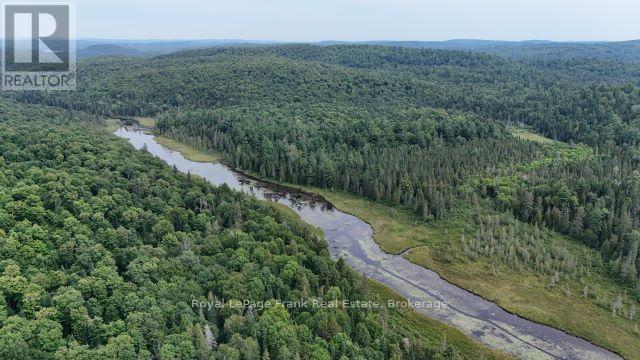 989 North Mckenzie Lake Road, South Algonquin, Ontario  N0C 1B0 - Photo 48 - X13074650