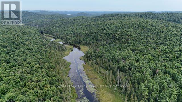 905 & 841 North Mckenzie Lake Road, South Algonquin, Ontario  K0J 2M0 - Photo 8 - X13216632