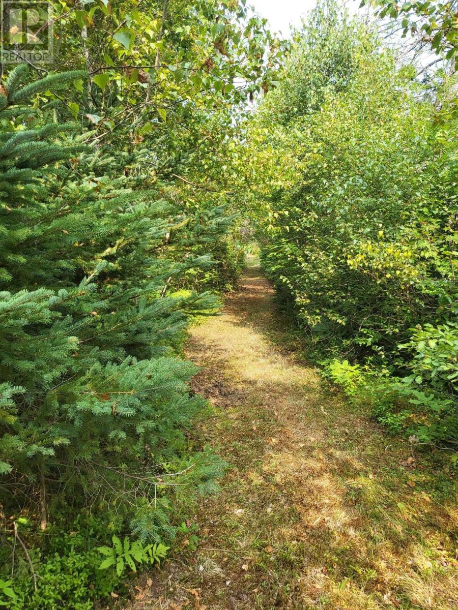 70 East Suffolk Road Ext, Suffolk, Prince Edward Island  C1C 0G8 - Photo 31 - 202620385