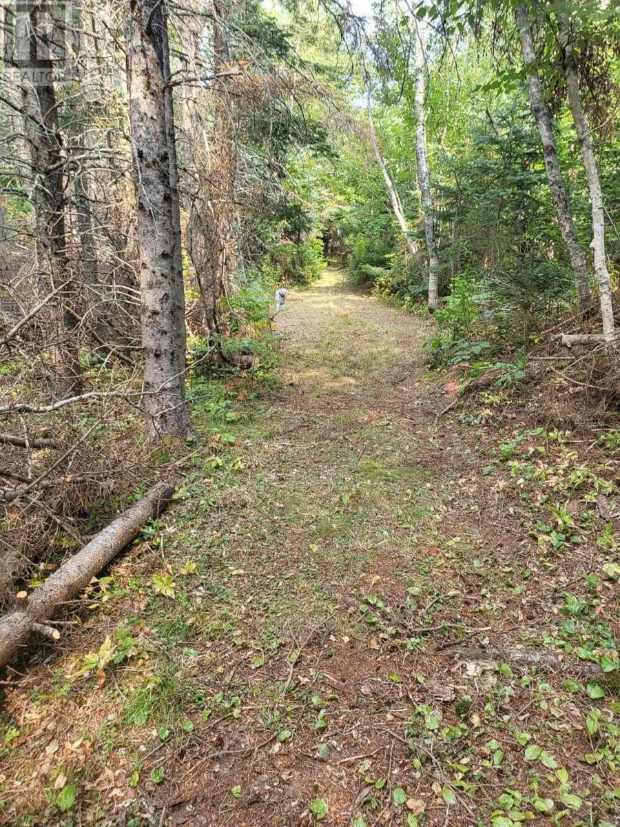 70 East Suffolk Road Ext, Suffolk, Prince Edward Island  C1C 0G8 - Photo 33 - 202620385