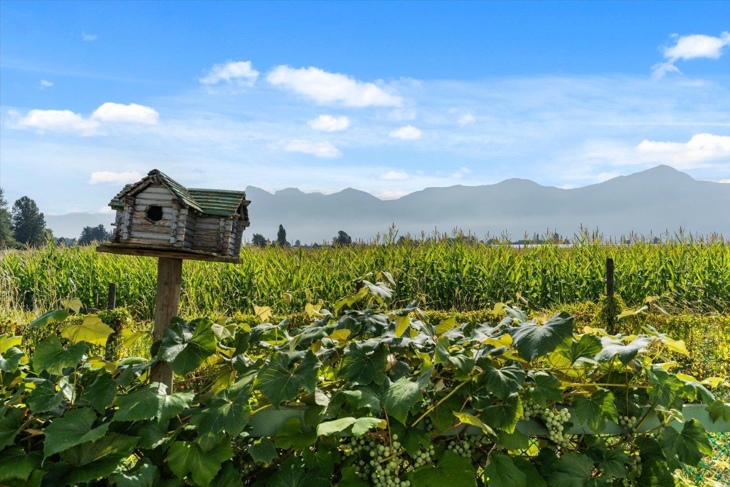 46702 Arbutus Avenue, Chilliwack Proper South, Chilliwack, British Columbia  V2P 6P4 - Photo 1 - R3155052