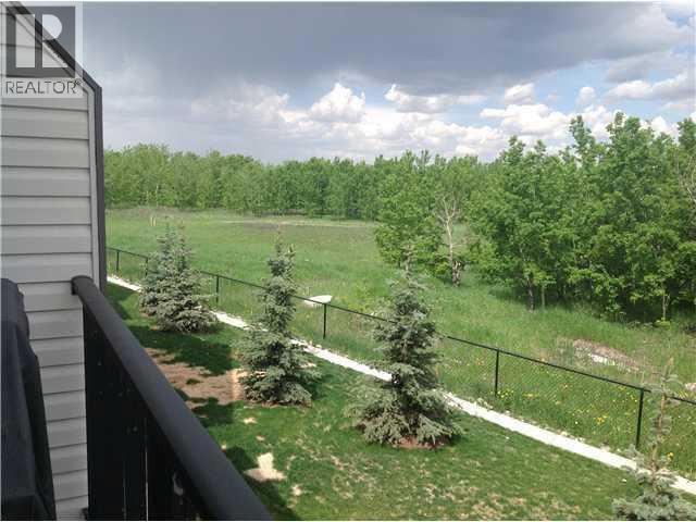 34 New Brighton Point SE, Calgary, Alberta  T2Z 1B6 - Photo 37 - A2292152