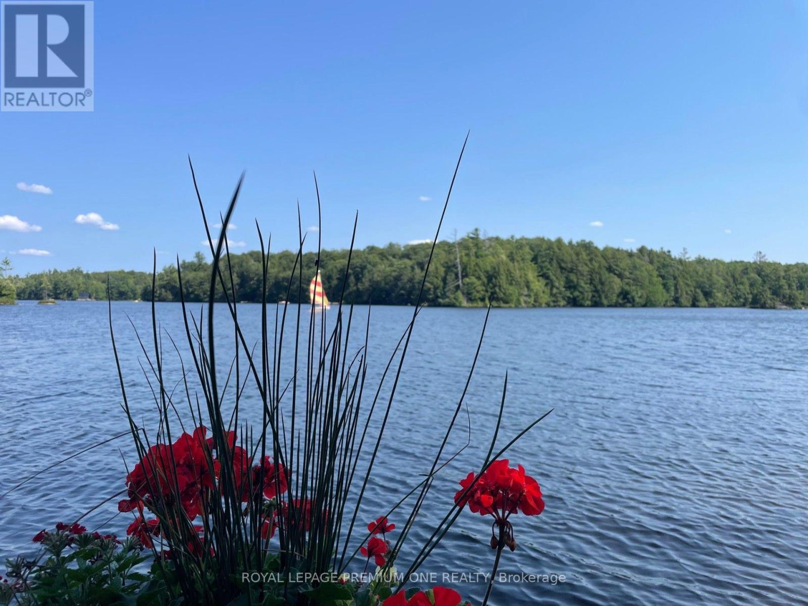 219 Crane Lake Water, The Archipelago, Ontario  P2A 0B7 - Photo 38 - X13576412