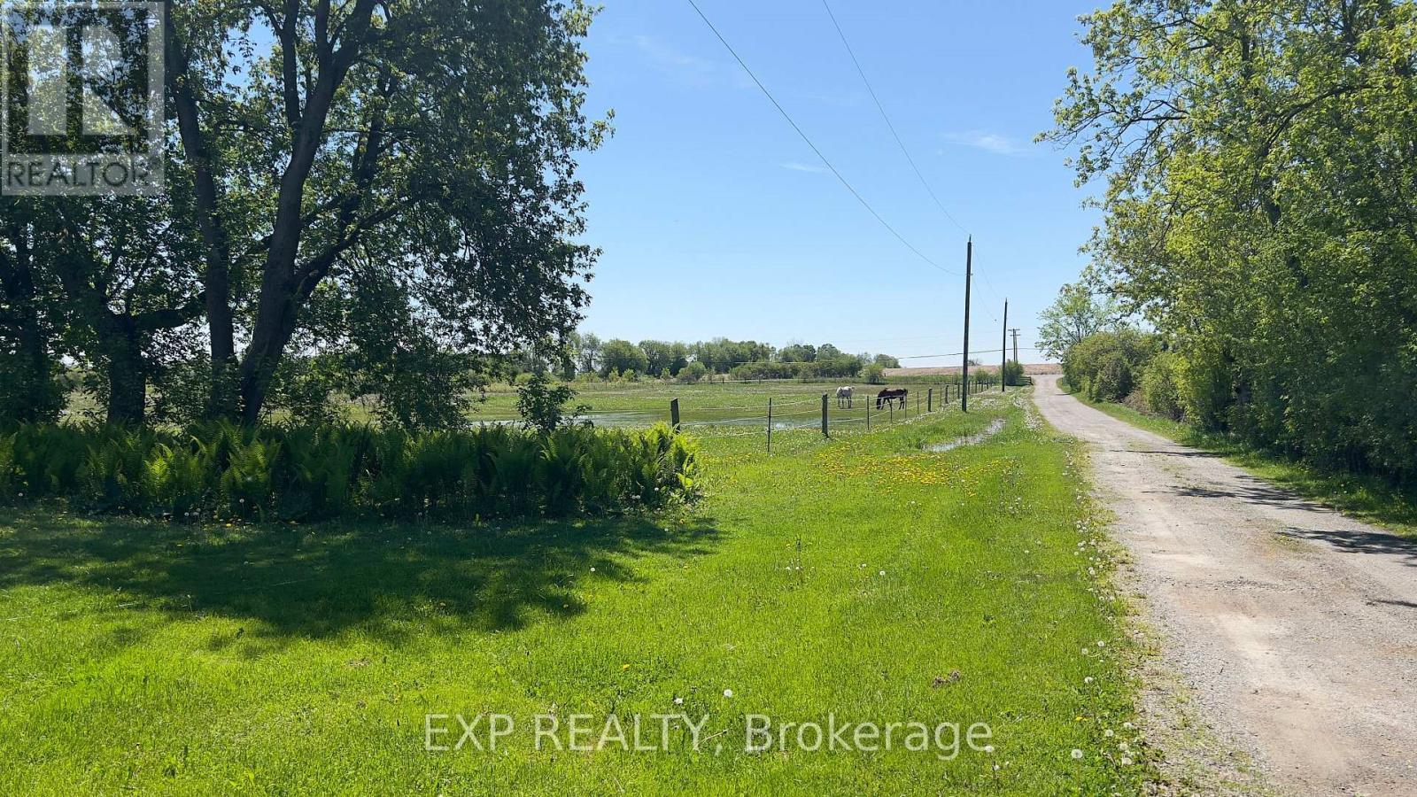 14489 Regional Rd 39 Road, Uxbridge, Ontario  L0E 1T0 - Photo 8 - N13173172