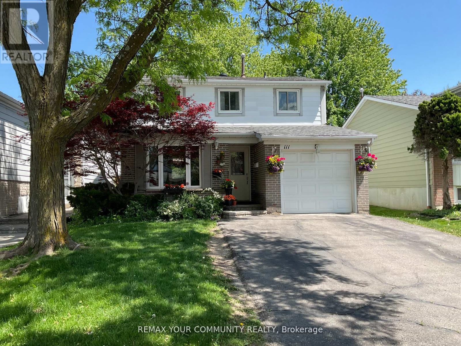 111 Springhead Gardens, Richmond Hill, Ontario  L4C 5C3 - Photo 1 - N13667792