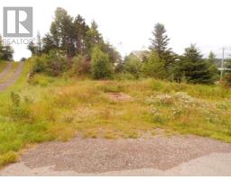 127 Bayview Road, Springdale, Newfoundland & Labrador